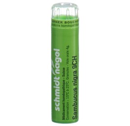 SN sambucus nigra gran 9 CH 4 g
