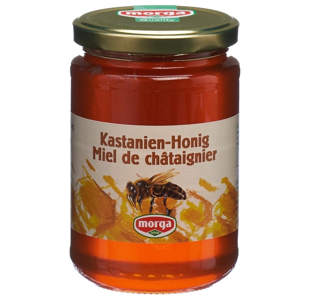 MORGA miel châtaigne étranger verre 500 g