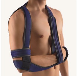 BORT OMOBASIC selon Gilchrist Gr0 bleu