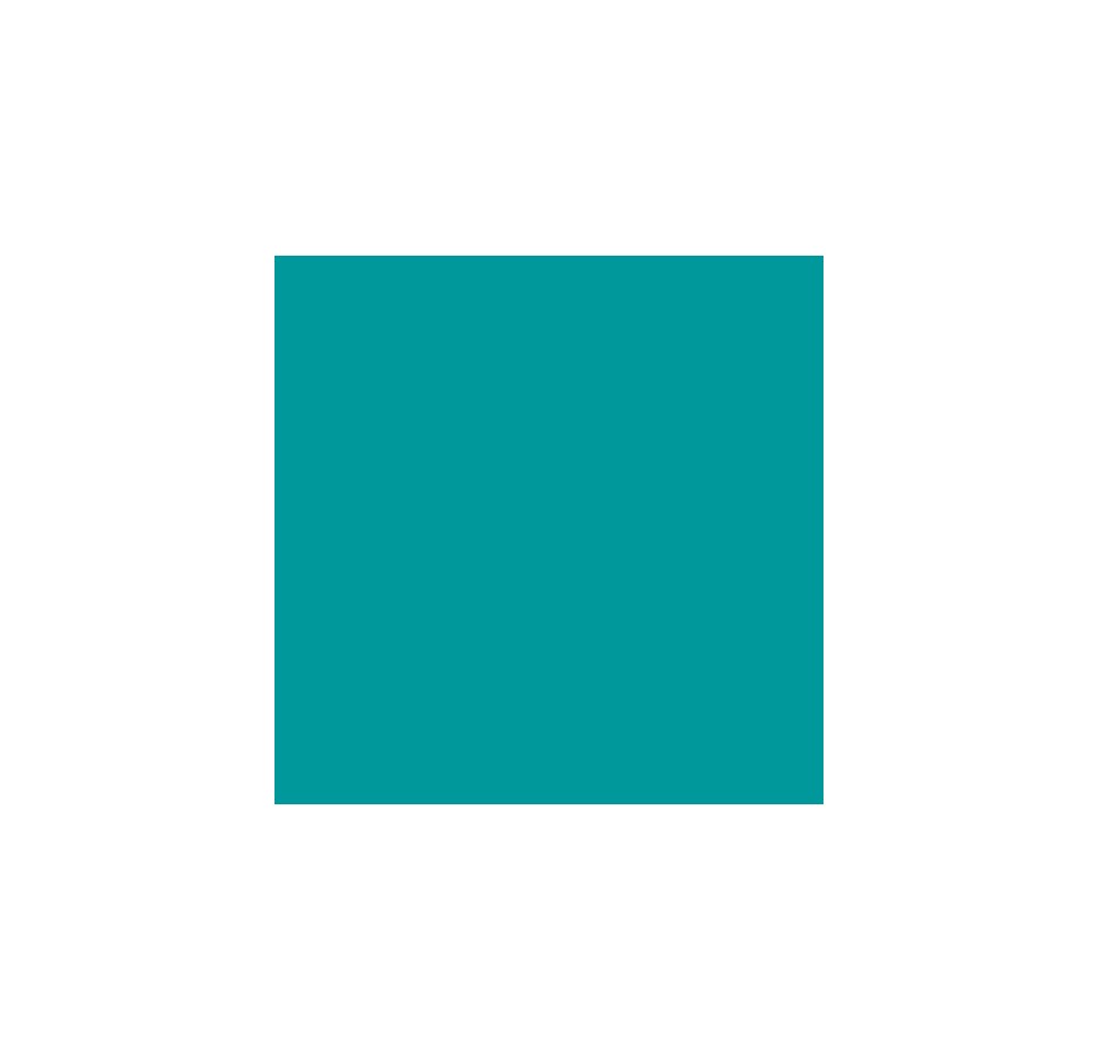 ELSA housse pour oreiller 50x9cm velours turquoise