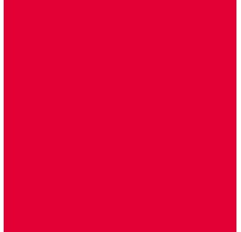 ELSA housse pour oreiller 50x9cm velours rouge