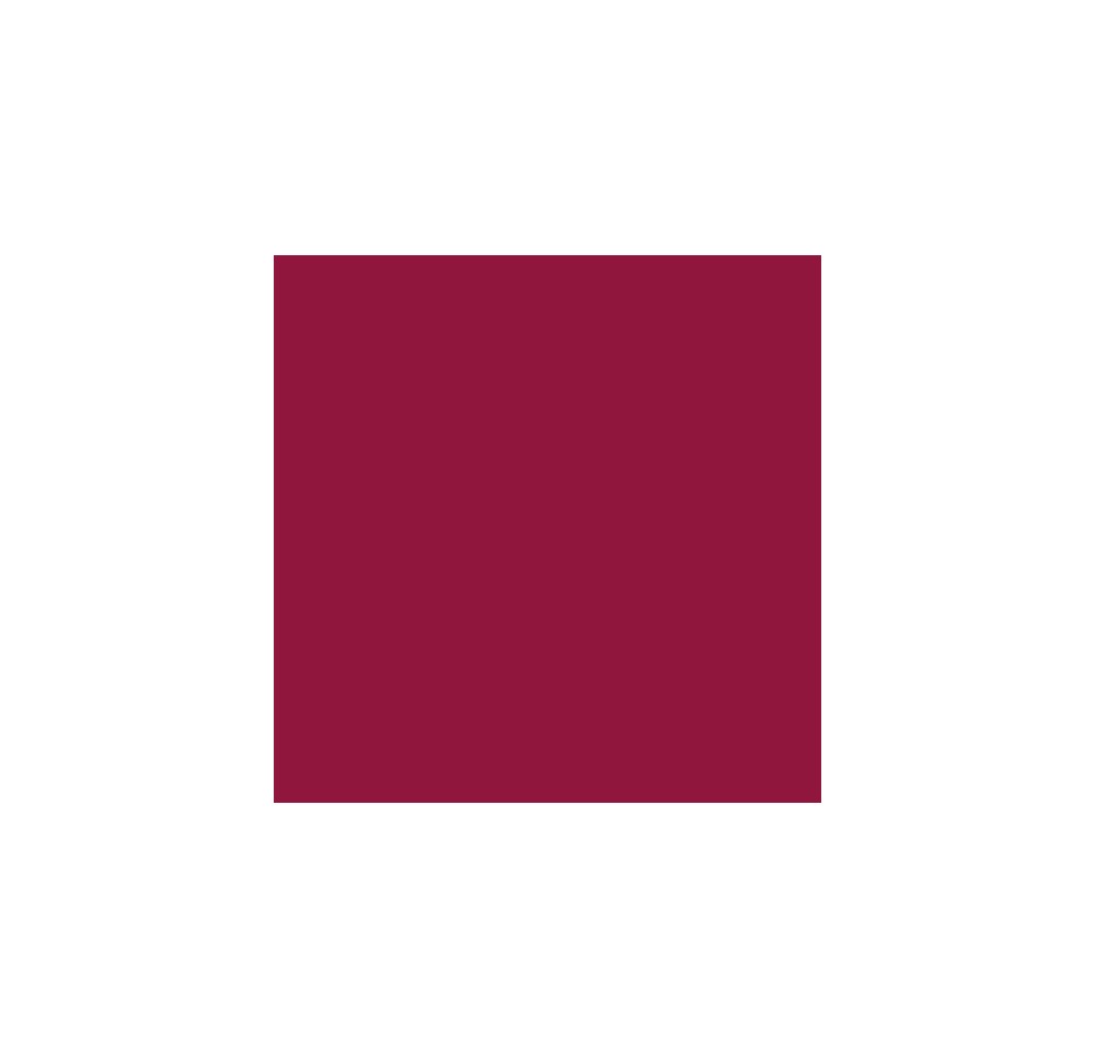 ELSA housse pour oreiller 70x9cm velours bordeaux