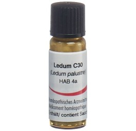 OMIDA ledum glob 30 C 2 g