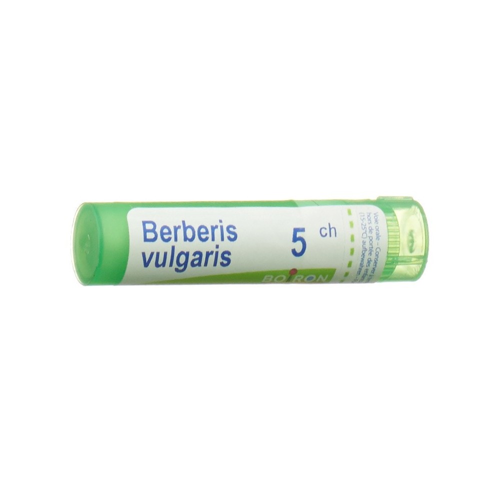 BOIRON berberis vulgaris gran 5 CH 4 g