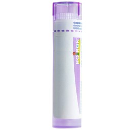 BOIRON hypericum perforatum gran 30 CH 4 g