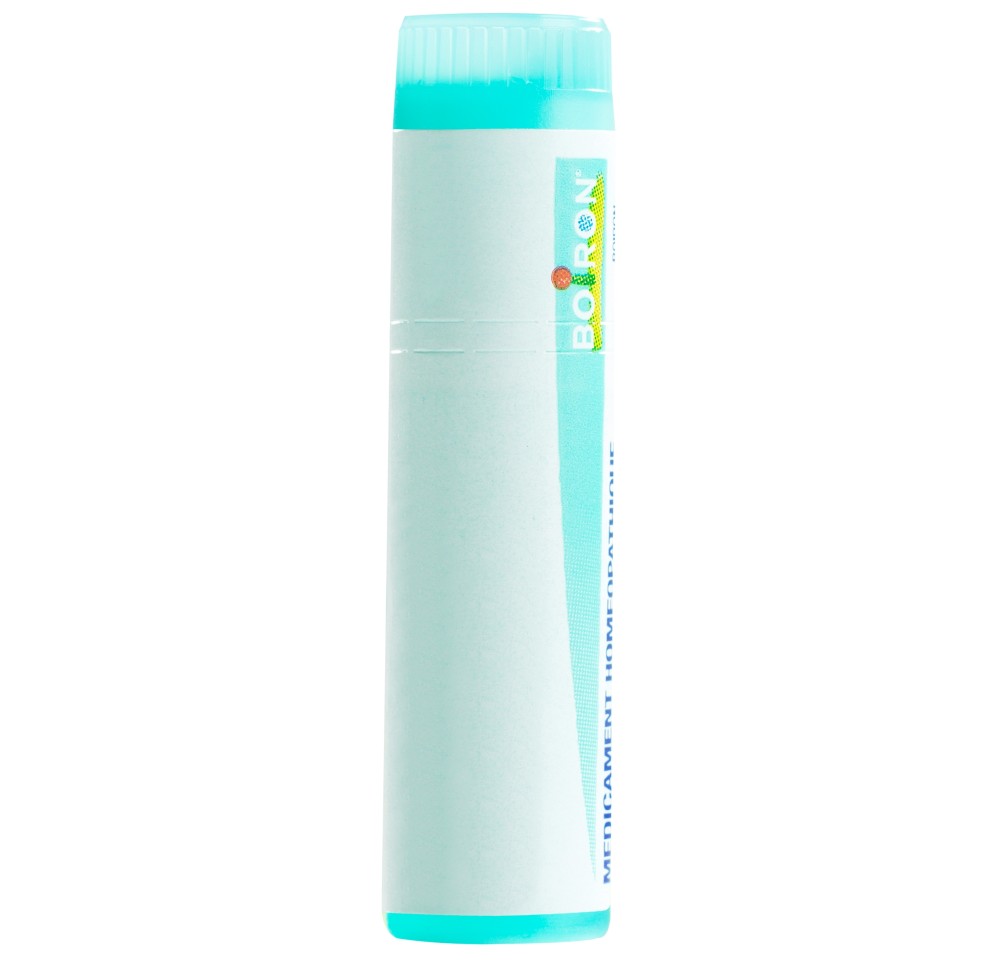 BOIRON hypericum perforatum glob 200 K 1 dos