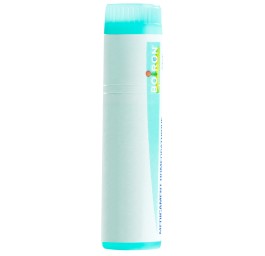 BOIRON hypericum perforatum glob 200 K 1 dos
