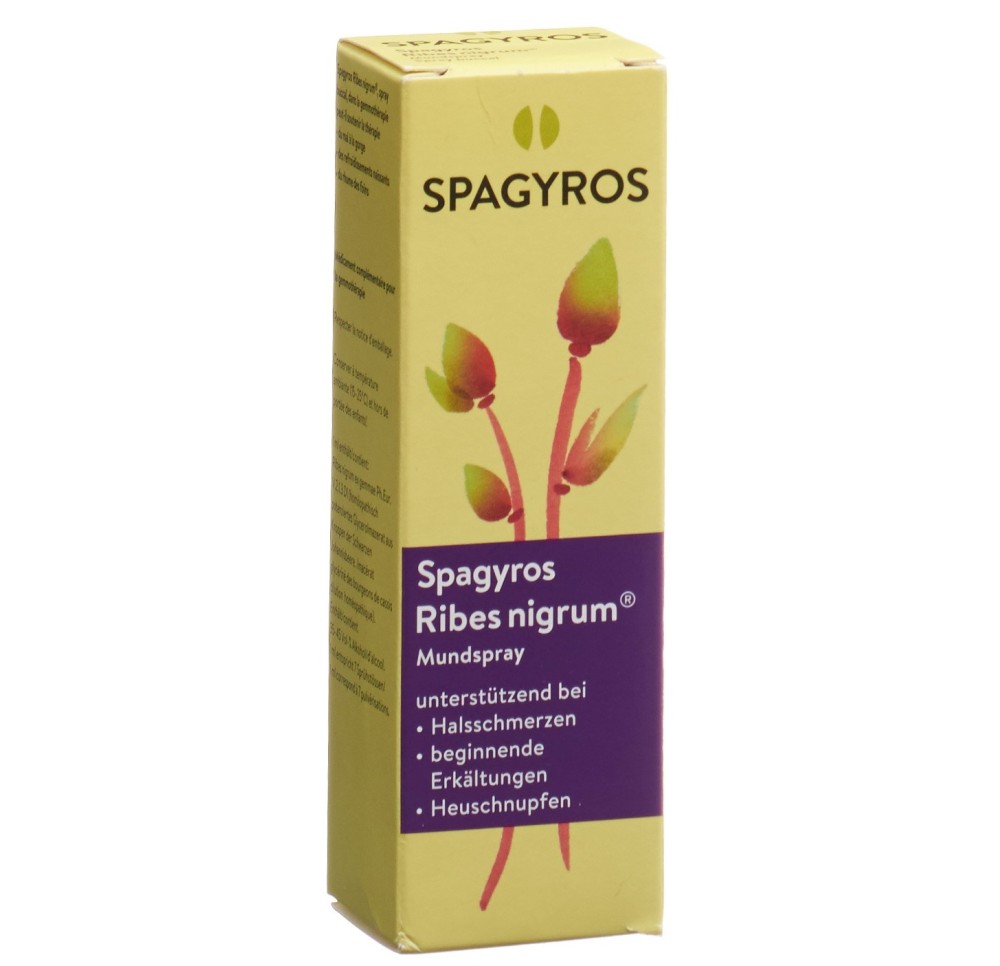SPAGYROS ribes nigrum spray buccal 1 D 30 ml