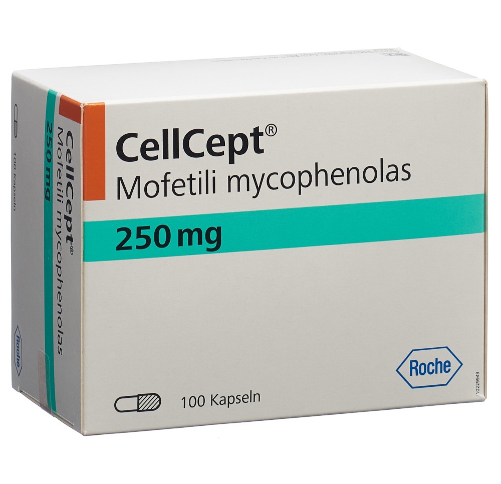 CELLCEPT caps 250 mg 100 pce
