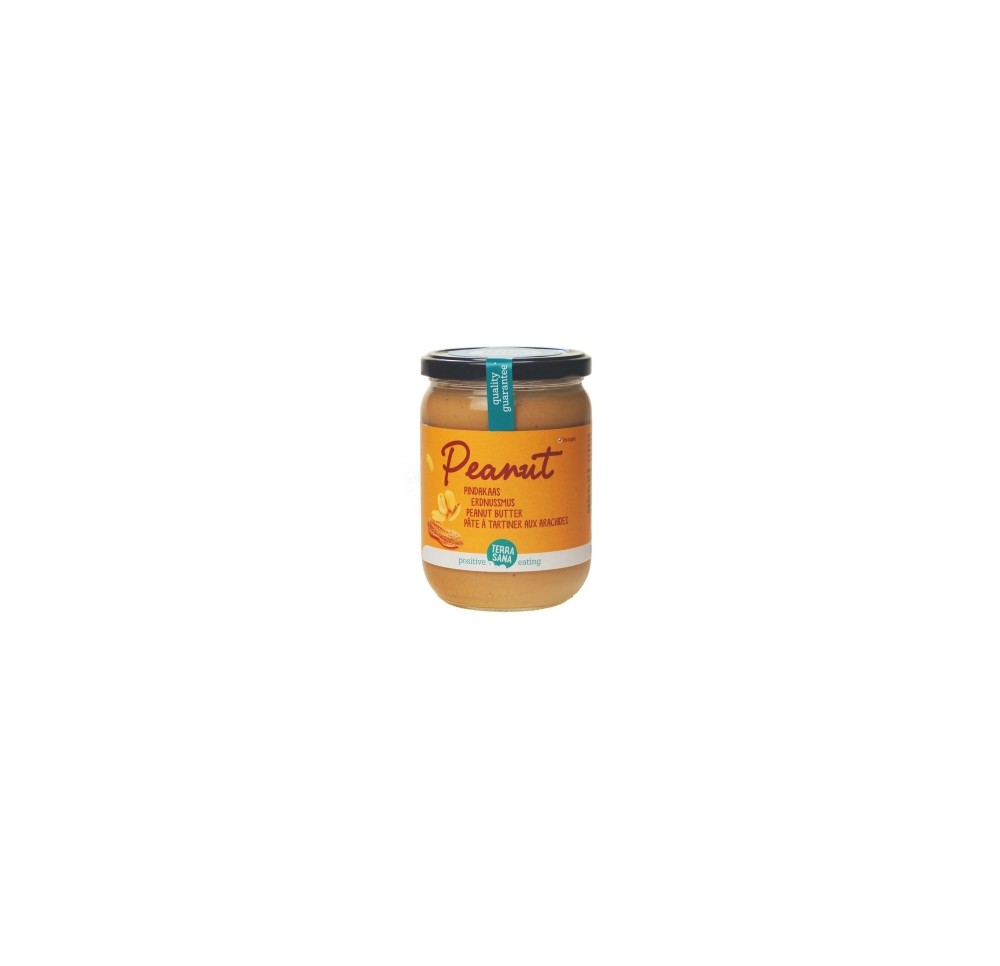 TERRASANA Pâte tartiner arachides bio verre 500 g