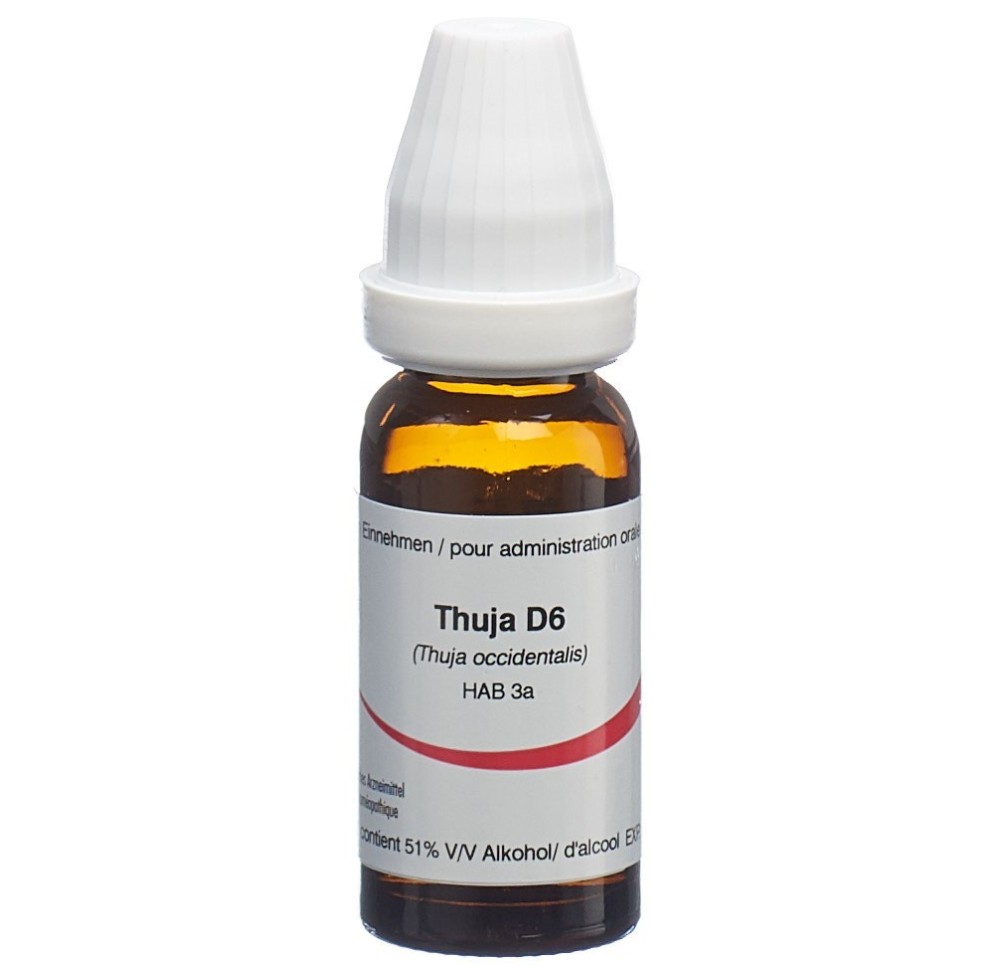 OMIDA thuja glob 6 D 14 g