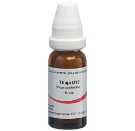 OMIDA thuja glob 12 D 14 g