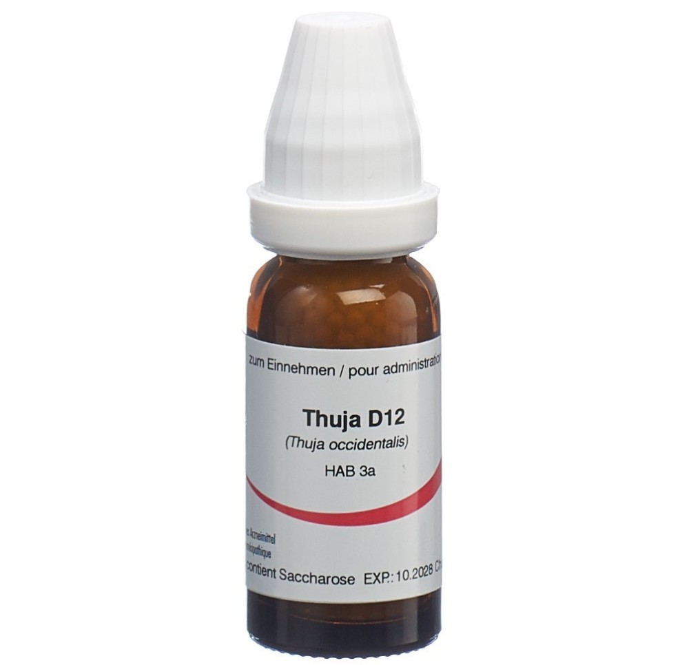 OMIDA thuja glob 12 D 14 g