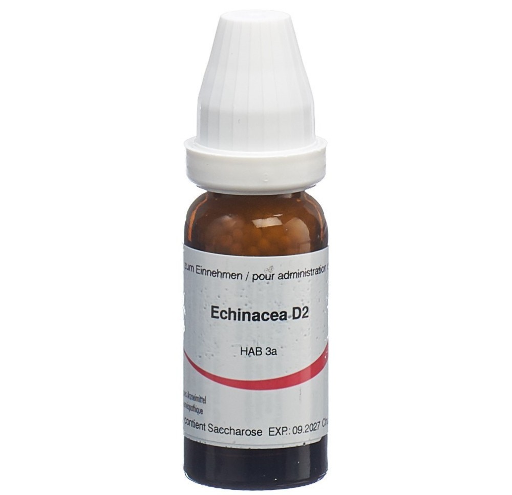 OMIDA echinacea angustifolia glob 2 D 14 g