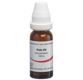 OMIDA ruta glob 6 D 14 g