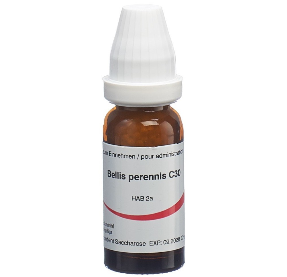 OMIDA bellis perennis glob 30 C 14 g
