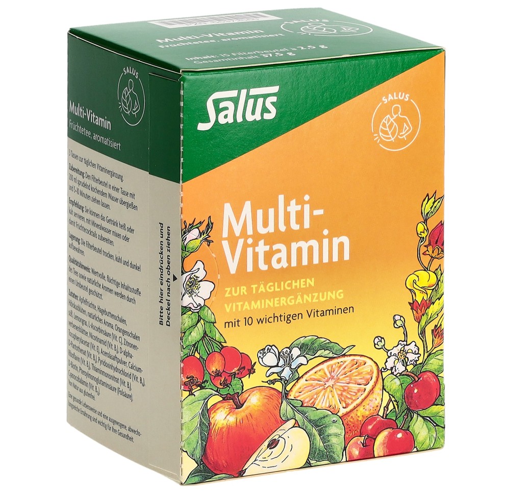 SALUS Multi-Vitamines tisane de fruit sach 15 pce