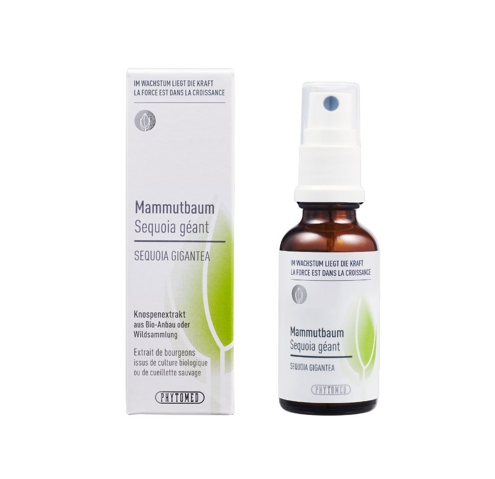PHYTOMED Extrait bourgeon Sequoia géant spr 30 ml