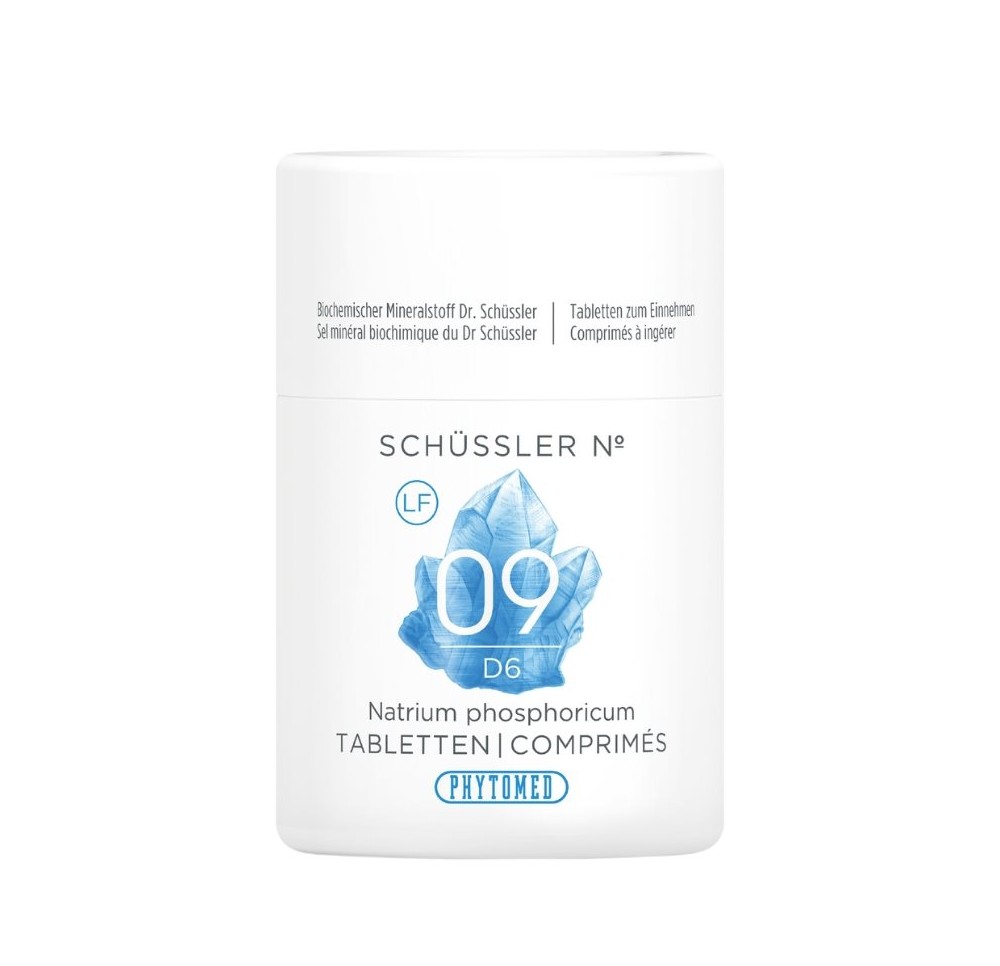 PHYTOMED SCHÜSSLER No9 cpr 6 D s lactose 100 g