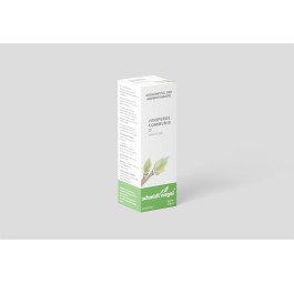 SN juniperus communis mac glyc TM fl 20 ml