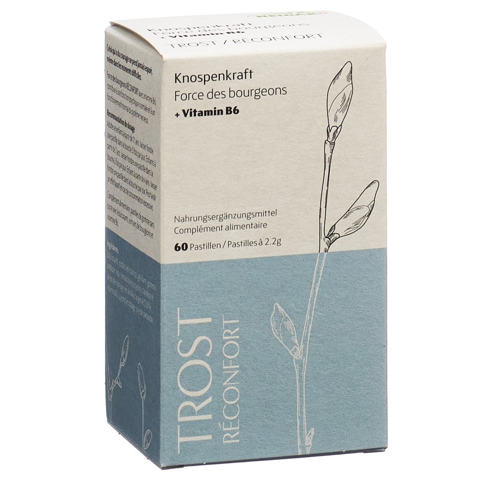HEIDAK force bourgeons pastilles réconfort 60 pce