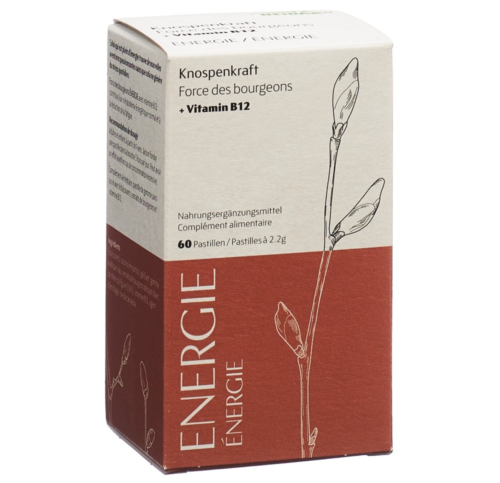 HEIDAK force bourgeons pastilles énergie 60 pce