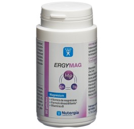 NUTERGIA Ergymag gélules bte 90 pce