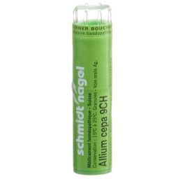 SN allium cepa gran 9 CH 4 g