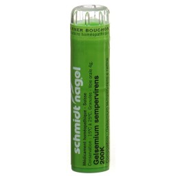 SN gelsemium sempervirens gran 200 K 4 g