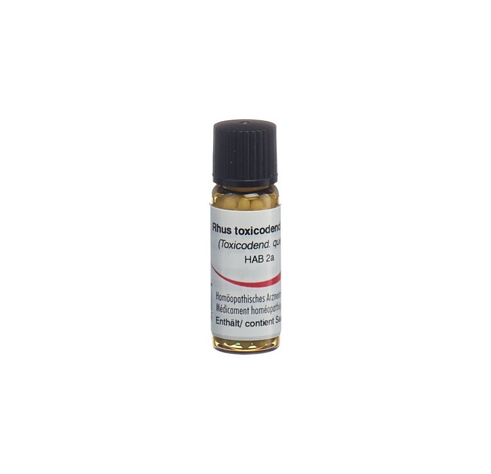OMIDA rhus toxicodendron glob 12 D 2 g