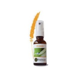 THIEMARD Ribes spray 30 ml