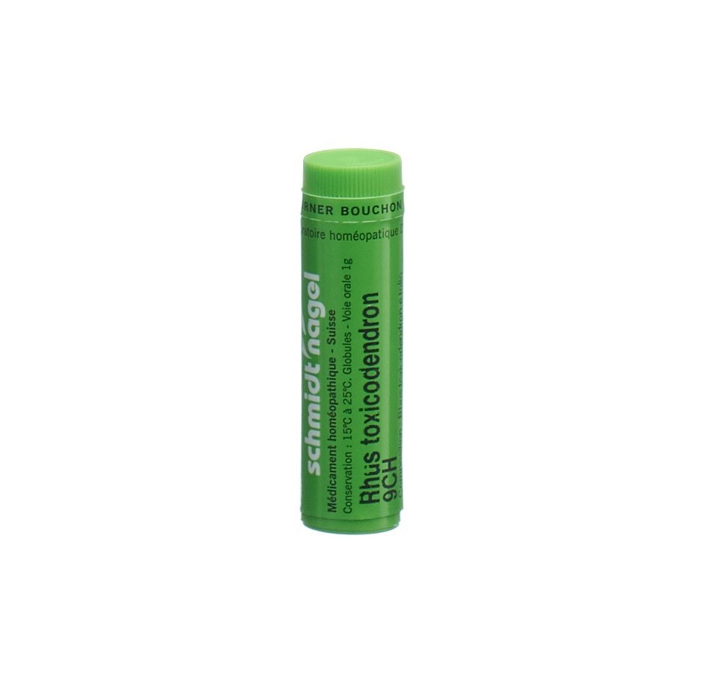 SN rhus toxicodendron glob 9 CH 1 g