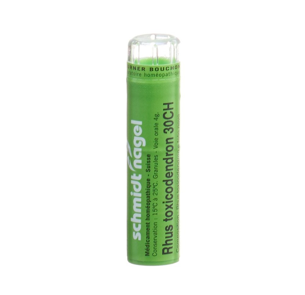 SN rhus toxicodendron gran 30 CH 4 g