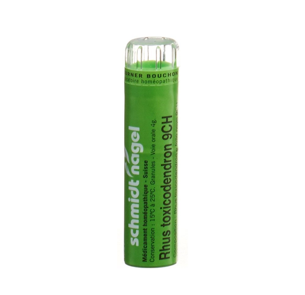 SN rhus toxicodendron gran 9 CH 4 g