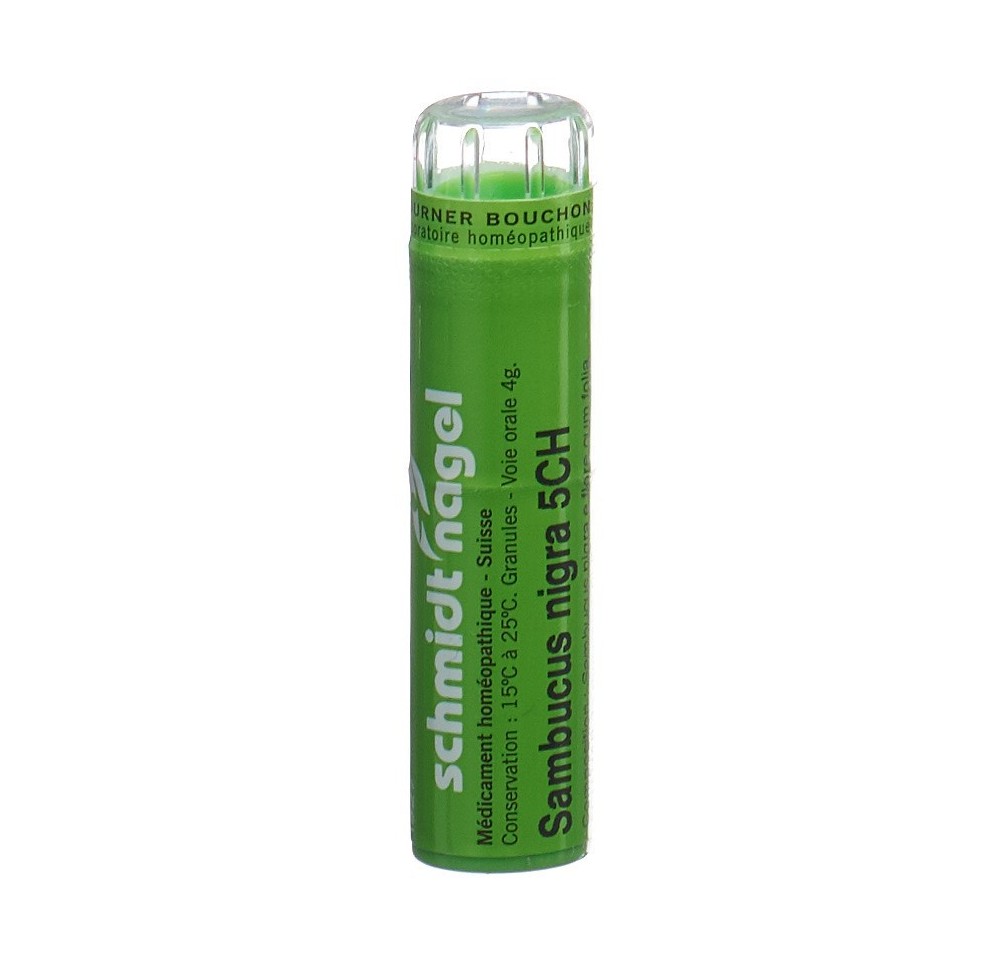 SN sambucus nigra gran 5 CH 4 g