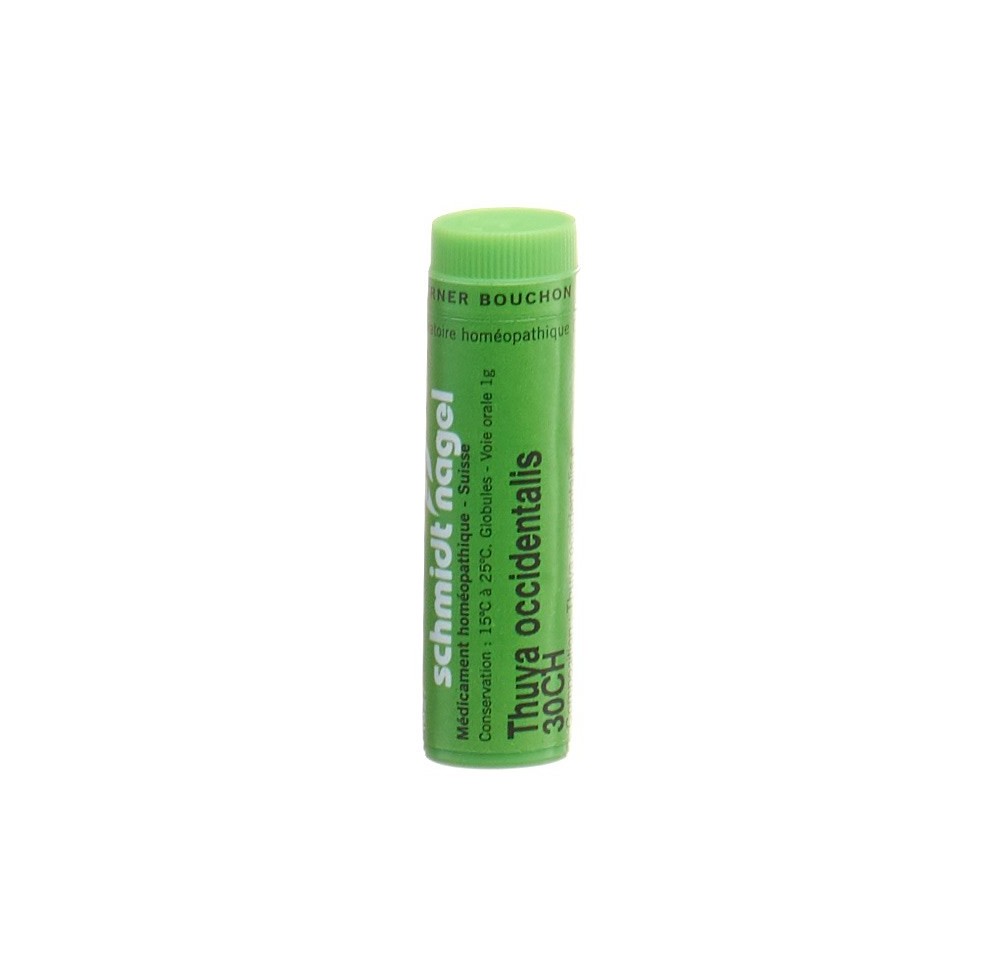 SN thuya occidentalis glob 30 CH 1 g
