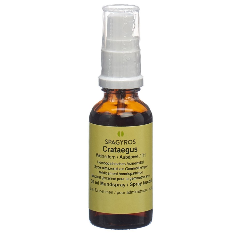 SPAGYROS GEMMO crataegus laevi mac glyc 1 D 30 ml