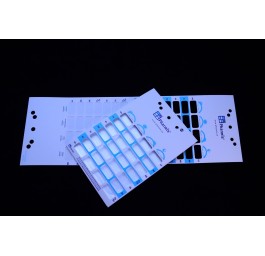 PHARMIS cartes blister quattro hot 500 pce