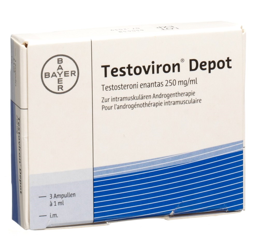TESTOVIRON Dépôt sol inj 250 mg i.m. amp 3 pce