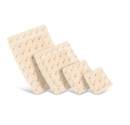 SUPRASORB P sensitive border 12.5x12.5cm 10 pce