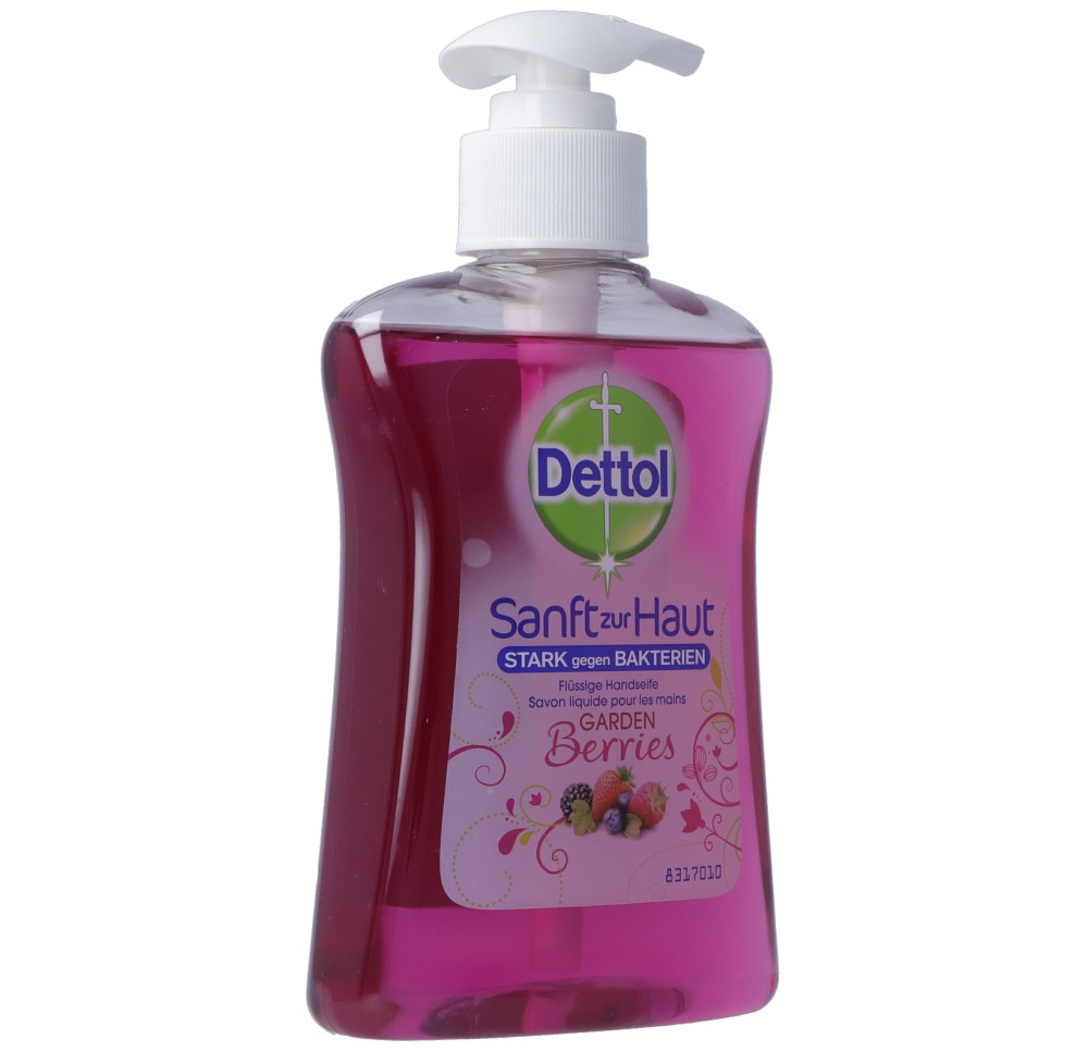 DETTOL savon liquide fruits des bois 250 ml