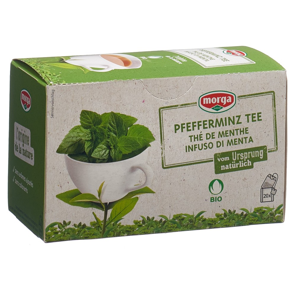 MORGA thé menthe a/p bio bourgeon sach 20 pce