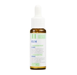 PHYTOMED No11 Bach Concen goutt sans alcool 10 ml