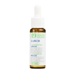 PHYTOMED No19 Bach Concen goutt sans alcool 10 ml
