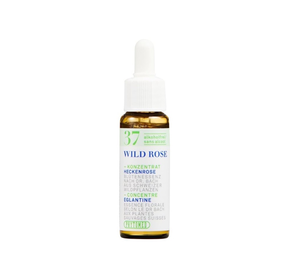 PHYTOMED No37 Bach Concen goutt sans alcool 10 ml
