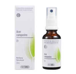 PHYTOMED GEMMO Acer campestre 1 D spr 30 ml