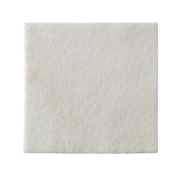 BIATAIN Alginate Ag 15x15cm 10 pce