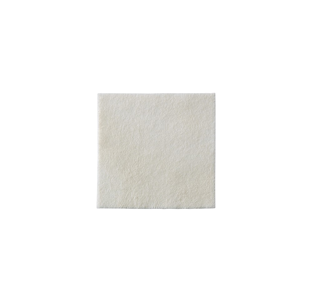 BIATAIN Alginate Ag 15x15cm 10 pce