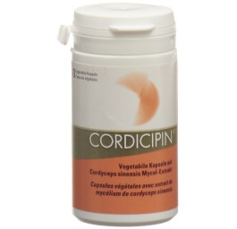 CORDICIPIN extrait champignons vital caps 60 pce